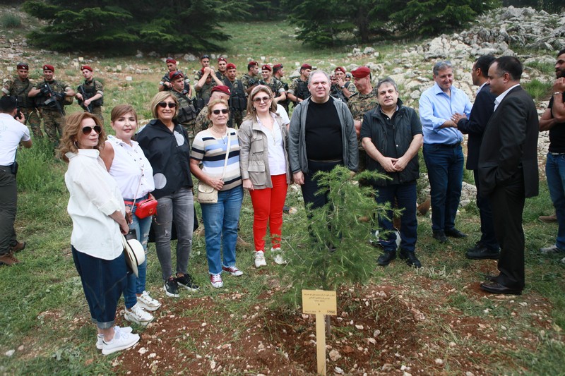 Cedar tree in memory of the Lebanese Commandos Regiment founder